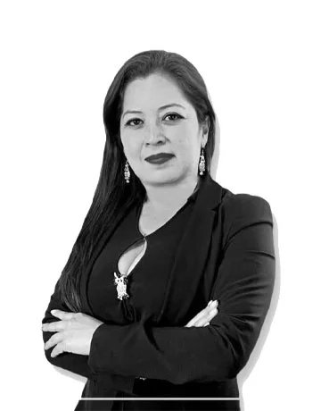 equipo-y-socios- carrillo y colín abogados