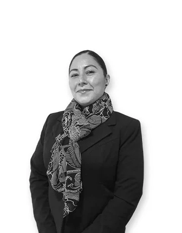 equipo-y-socios- carrillo y colín abogados